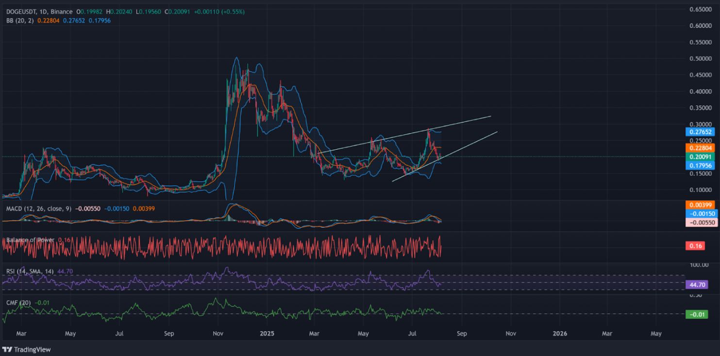 1 Billion DOGE Bought by Whale, $3M in Shorts Wipeout Creates ‘Sell Wall’ image 0