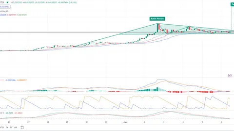 Notcoin ($NOT) Analysis: Bullish Pennant Pattern vs. Bearish Indicators