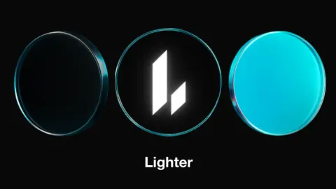 Рідкісна ставка Robinhood, Lighter та його геніальний засновник