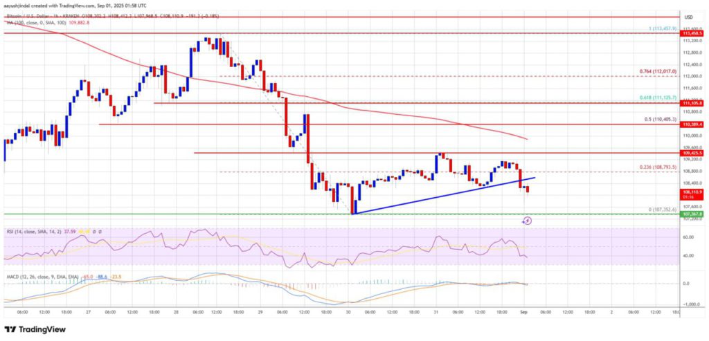 Peringatan Harga Bitcoin: Apakah Penurunan Besar Akan Terjadi di September 2025? image 0