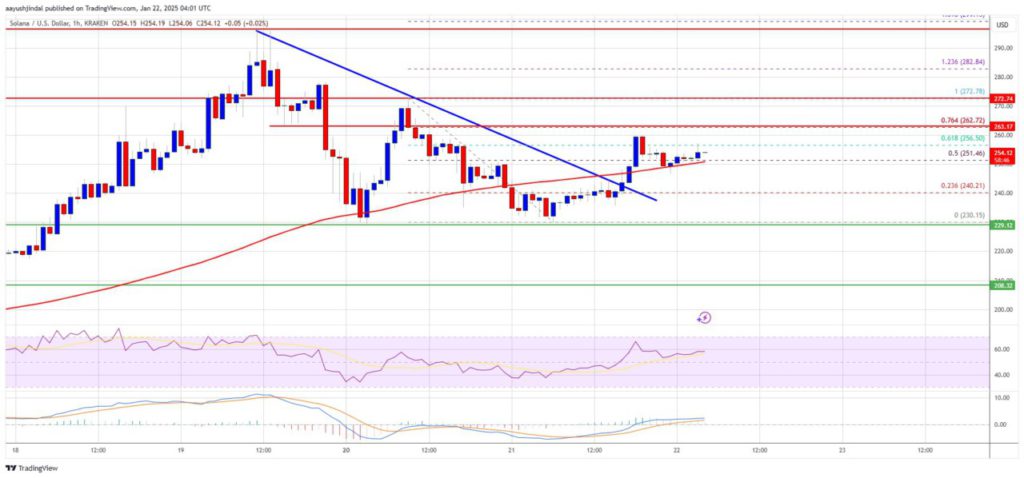 Analisis Harga Solana (SOL): Momentum Kenaikan Baru di Atas $262 (23/1/25) image 0