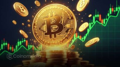 Corporations Now Hold 7% of All Bitcoin