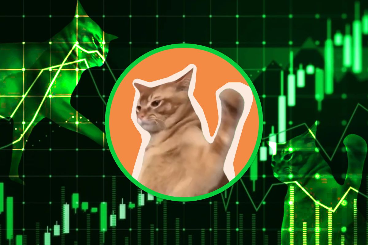 Le prochain MOG ? Catslap ($SLAP) pump de 59% pour atteindre les 0.0033$, la première phase d’airdrop se clôture bientôt