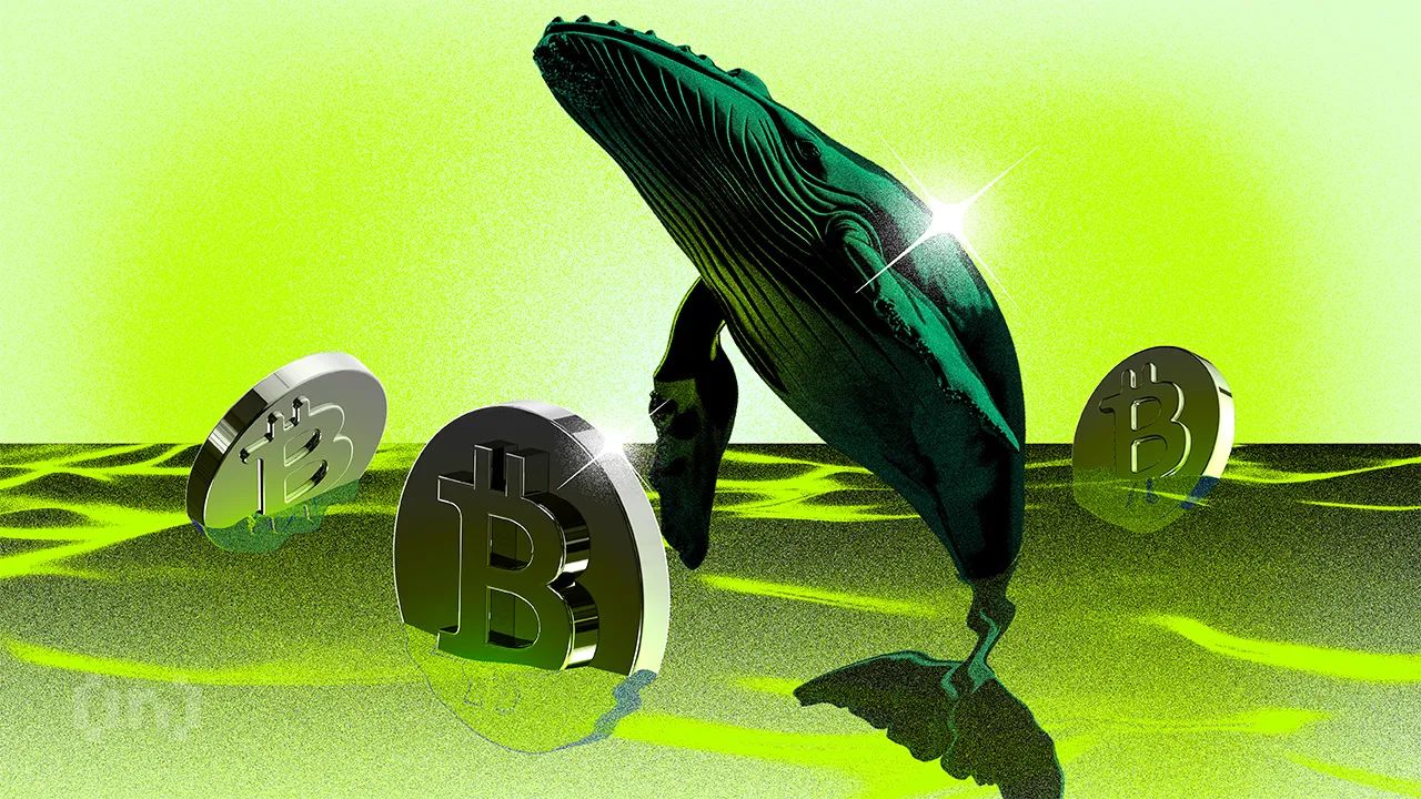 「鯊魚」是否在兩週內將Bitcoin推升至11.5萬美元以上？