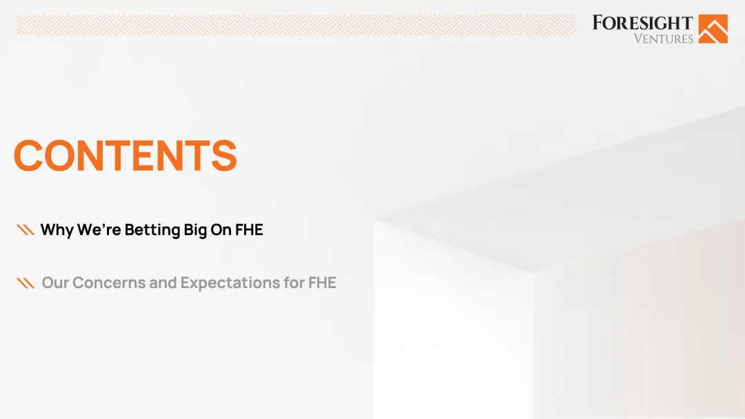 Foresight Ventures：为什么我们投资FHE？ image 1