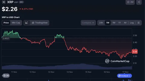 XRPL Foundation Board Director Explains Why XRP Price Is Down Despite ETF Launch