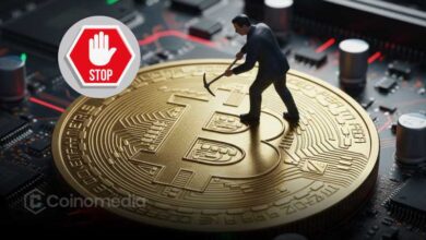 Rapid Shutdown of Bitcoin Mining in Xinjiang Raises Alarms