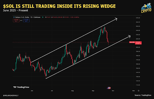 Solana Near $212 Holds Rising Wedge as $260 Resistance Suggests Possible Breakout or Pullback image 1