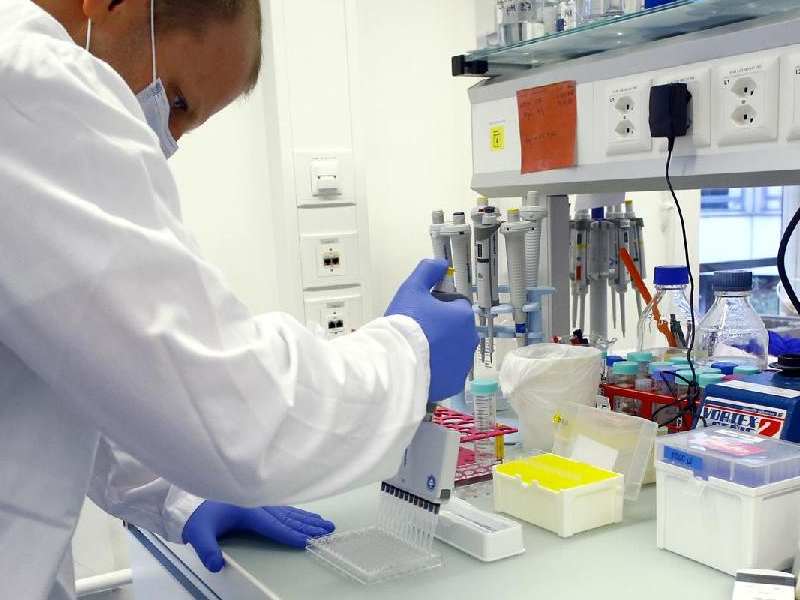 礼来(LLY.US)与圣因生物签署最高12亿美元合作协议 共研代谢性疾病RNAi疗法