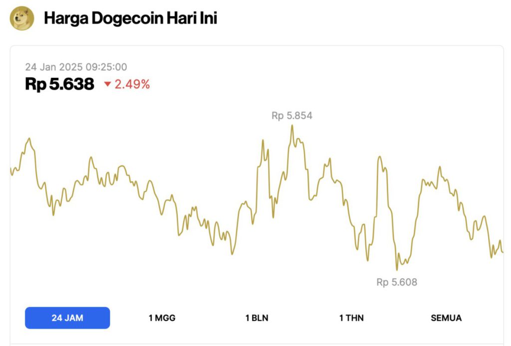 Harga Dogecoin Turun 2% Hari Ini (24/1/25), DOGE Bidik Harga Rp67 Ribu? image 0