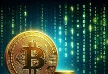 Bitcoin Kurs im freien Fall – die Bitcoin Miner in der Existenzkrise