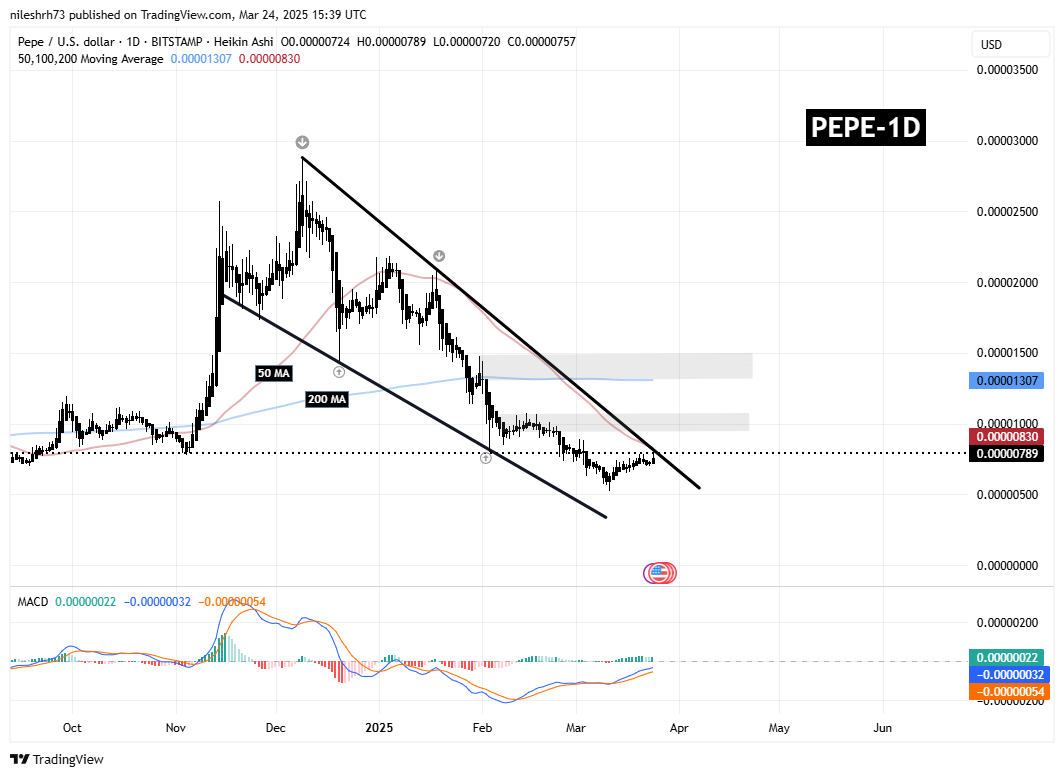DOGE Gains Momentum Following Key Breakout – Is PEPE Gearing Up For A Similar Move? image 2