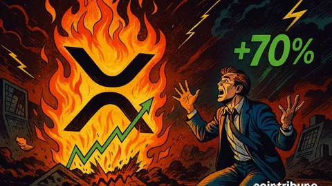 Is XRP About To Replicate Its January Rally ?