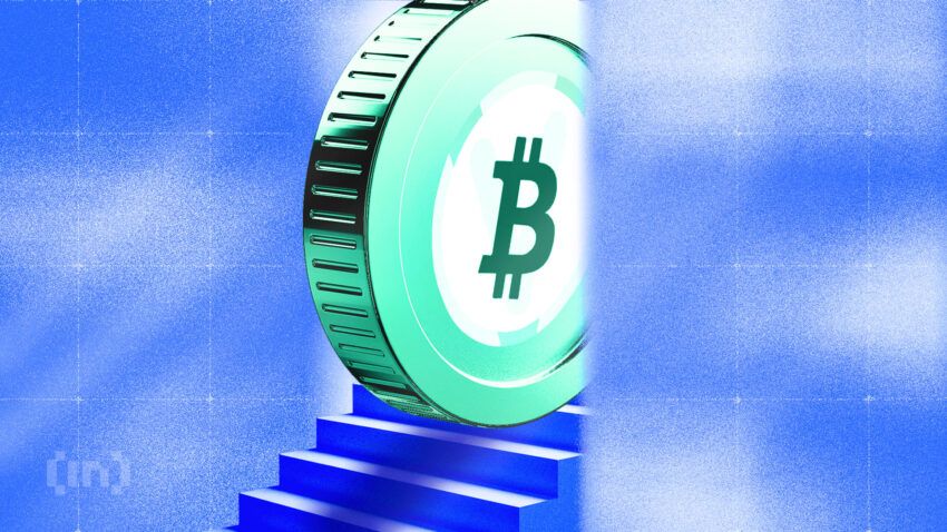 Долгосрочные держатели биткоина (BTC) возобновили накопление — CryptoQuant