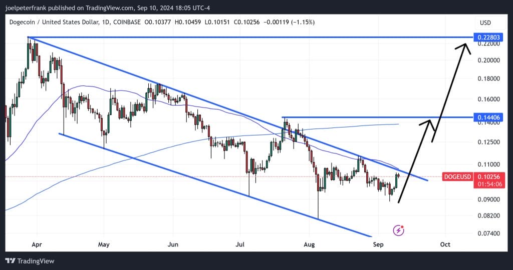 Hat Elon Musk eine Dogecoin-Preisrallye ausgelöst? DOGE durchbricht $0,10 – Was kommt als Nächstes? image 0