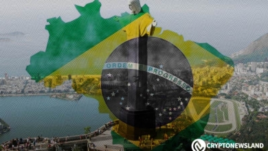 Brazil Gives Elon Musk 24 Hours to Appoint Legal Representative for X