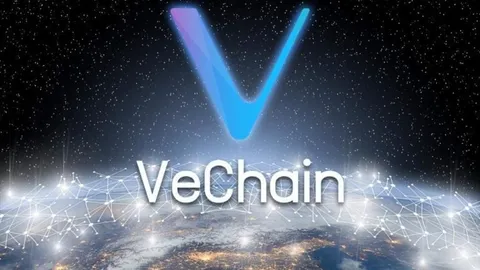 Poné a trabajar tu VET y ganá VTHO extra con el staking de NFT de VeChain