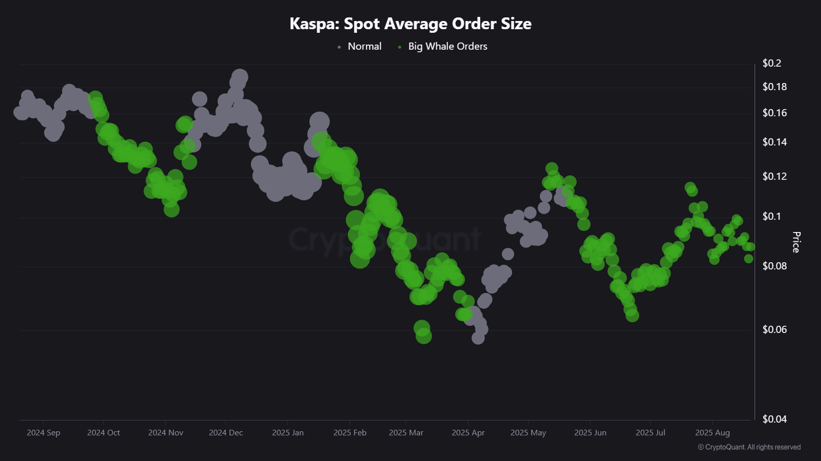 KAS Price Holds Near Key Support as On-Chain Data Turns Bullish image 4