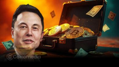 Elon Musk: “Energy Is the True Currency, Bitcoin Proves It”