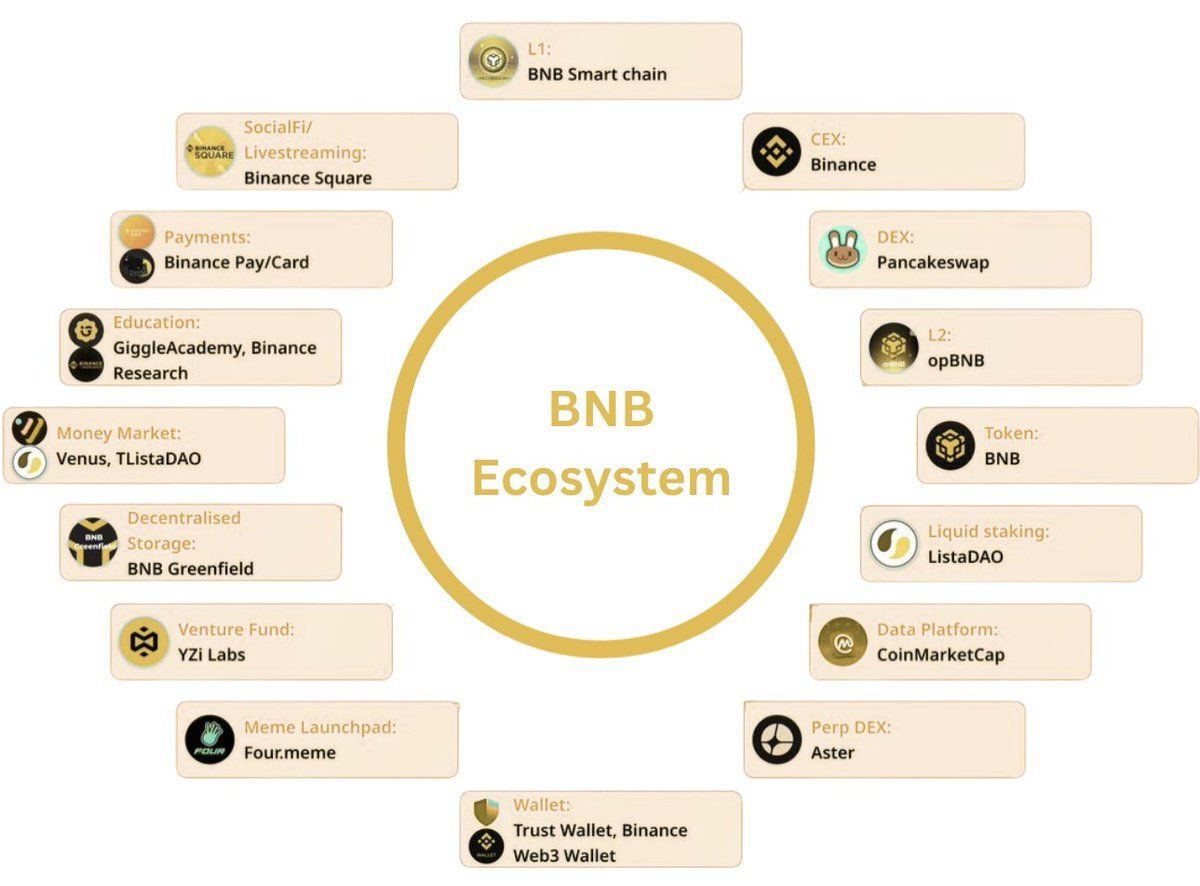 BNB Kursprognose: Kann BNB angesichts des enormen Netzwerk-Wachstums die 1.000 $ zurückerobern? EV2 Token Presale ermöglicht echtes Eigentum im Web3 Gaming image 1