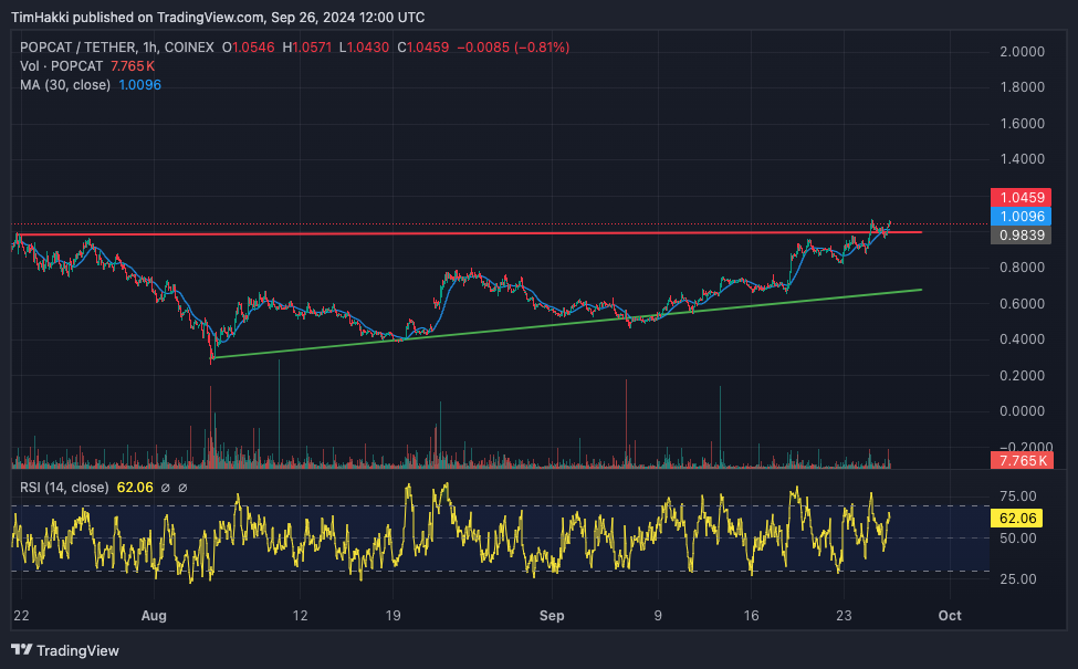 Popcat Climbs to $1 Billion – Here’s Why This Next Meme Coin Could Go Even Higher image 1