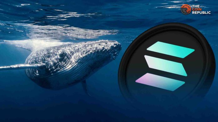El precio de la Solana vuelve a superar los 190 $ mientras se acumulan las ballenas y la red alcanza los 107.000 TPS