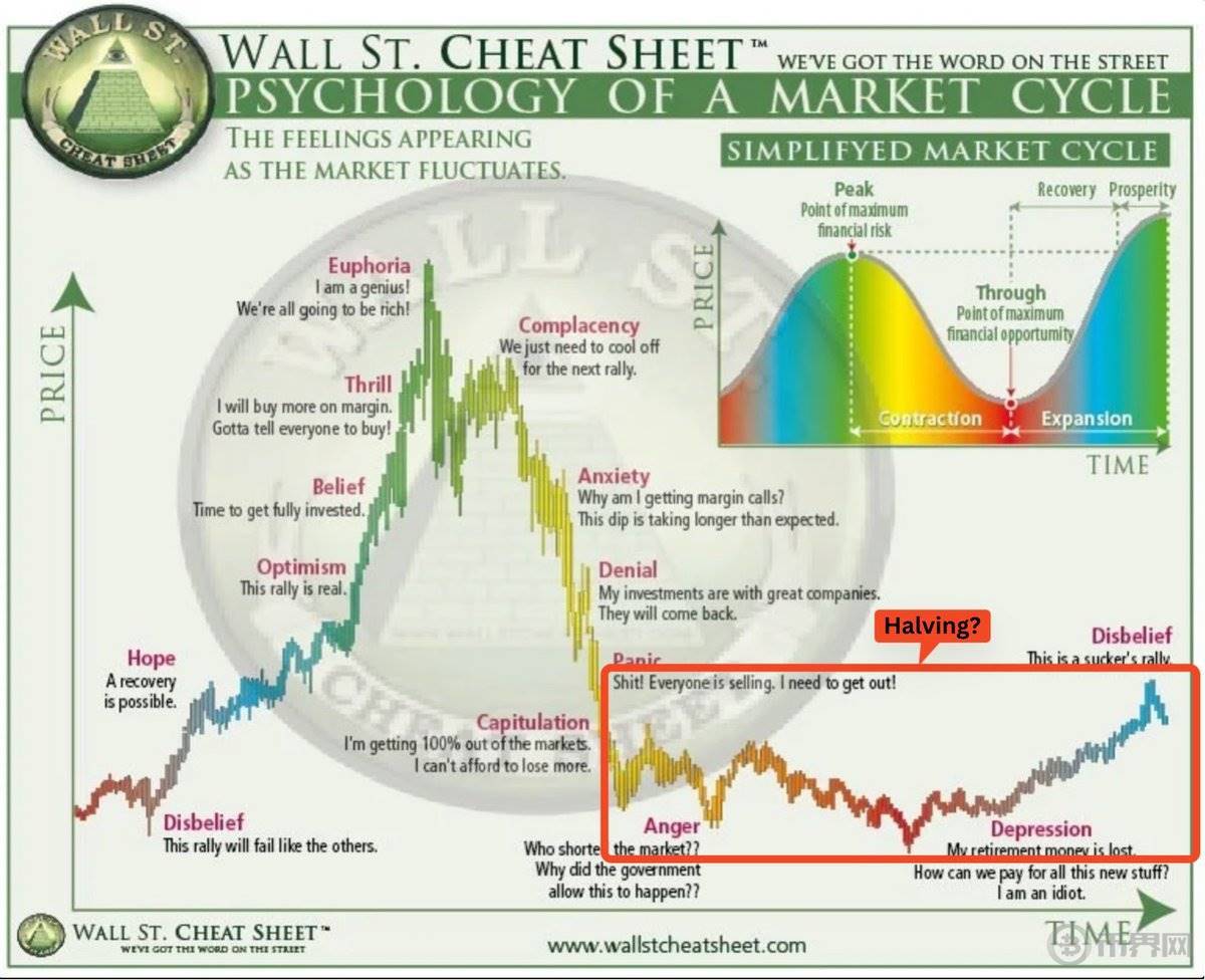 永恒的盘整期：减半后必横盘已成历史规律，这次会不同吗？ image 2