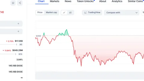 Meme Coins in Turmoil: DOGE Down 2%, SHIB Drops 3%, PEPE Falls 6%