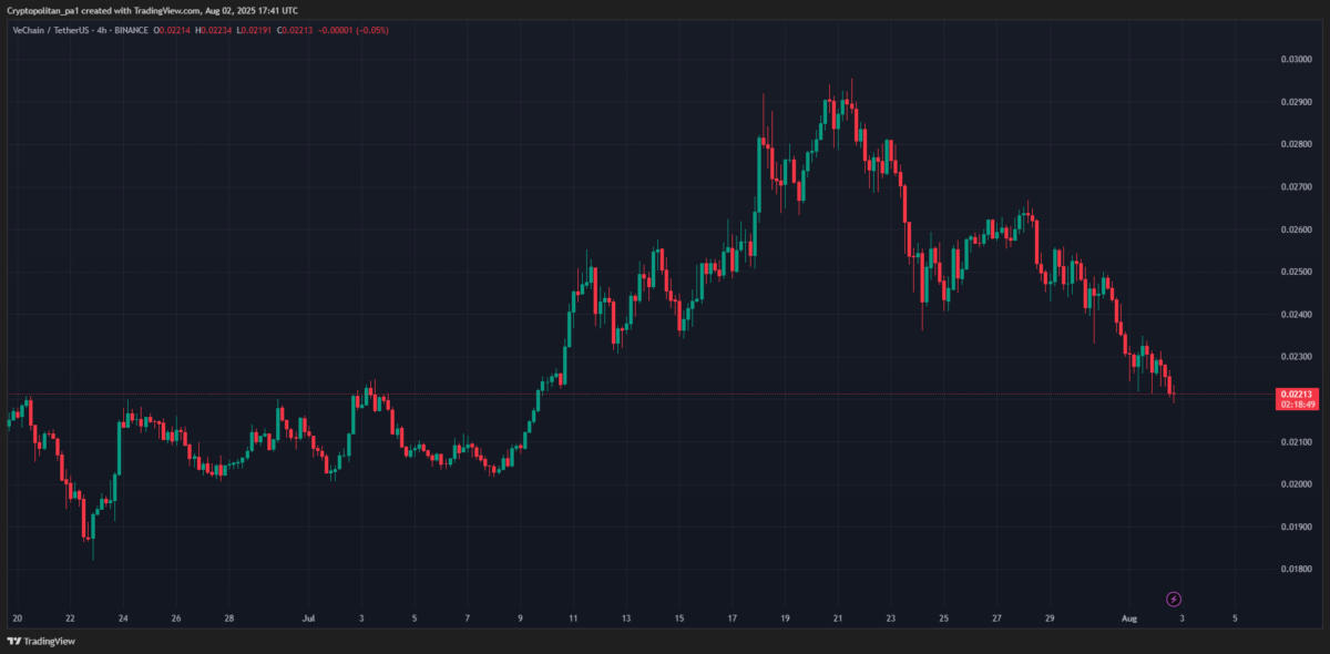 VeChain price prediction 2025-2031: What’s the growth potential of VET? image 2