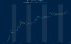 Willy Woo prognostiziert Bitcoin Bärenzyklus, aber ganz anders als bisher! image 2
