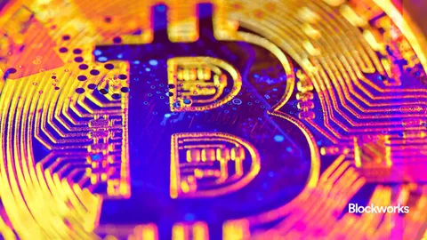 What if the US really bought 1 million BTC?