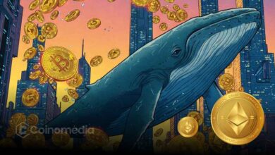 Whale Selling Pressure Shows Signs of Easing