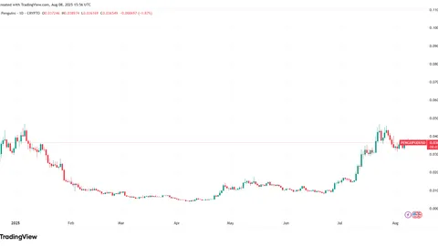 PENGU Surpasses BONK: Can Solana’s Meme Coin Star Break Into the Top 3 by 2025?
