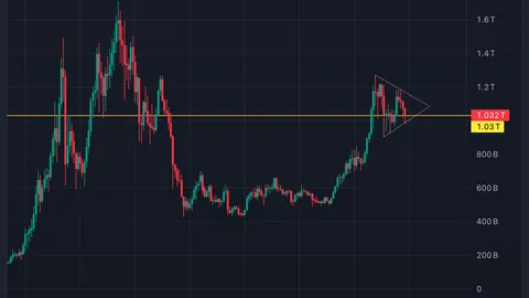 Altcoins look sound for next stage of bull market