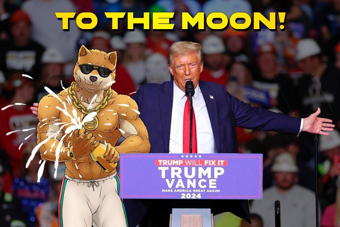 Top 5 Meme Coins to Help Dogecoin and SHIB Investors Build a Million-Dollar Portfolio image 1