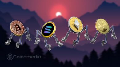 Altcoins Flash Major RSI Signal for Potential Rally