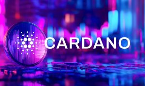 Cardano : les détenteurs à long terme profitent de la hausse des prix de l'ADA