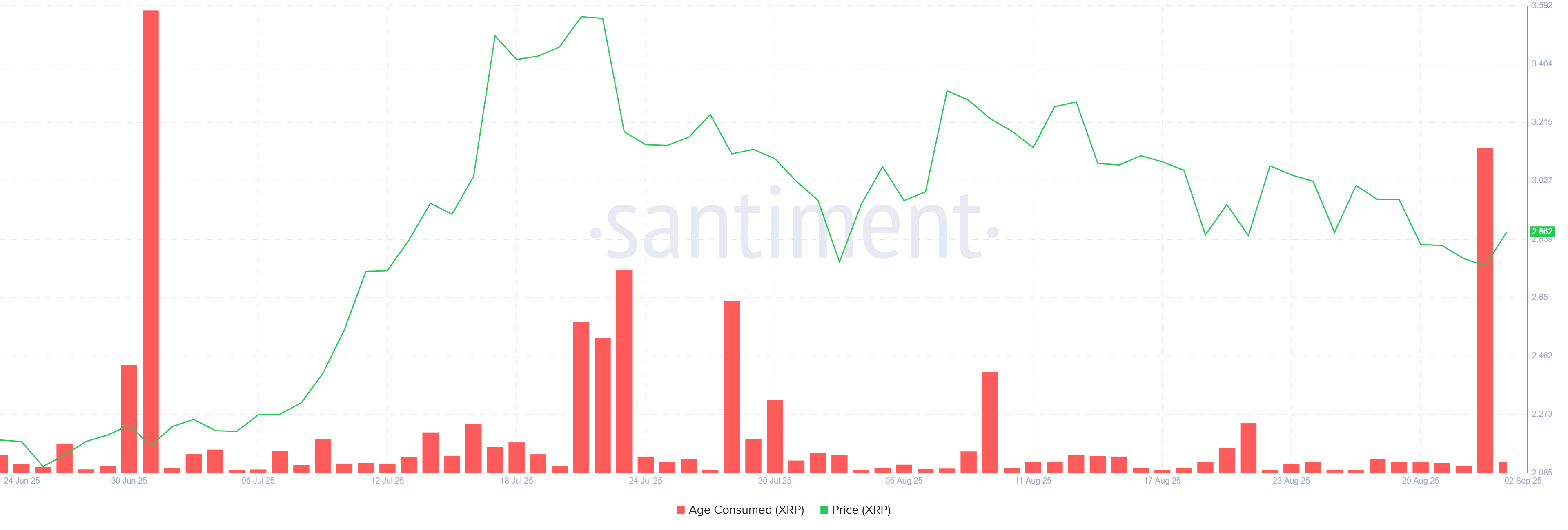 XRP Whales vs Long-Term Holders: Who Will Decide The Price Action Path? image 1
