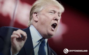 Saudi Developer Plans Tokenized Funding for Maldives Trump Hotel