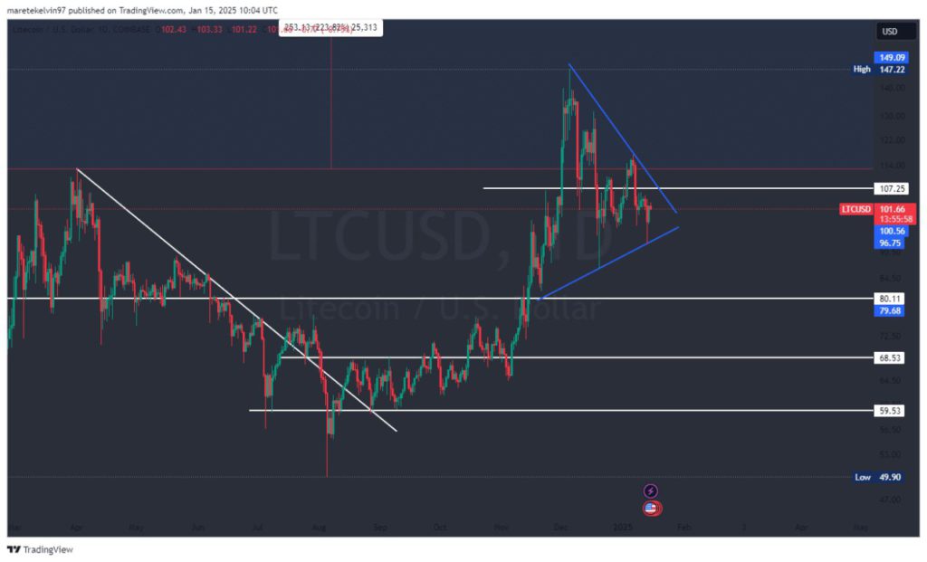 Indikasi Pergerakan Bullish Litecoin Harga Litecoin (LTC) di 2025 Menurut Analis image 0