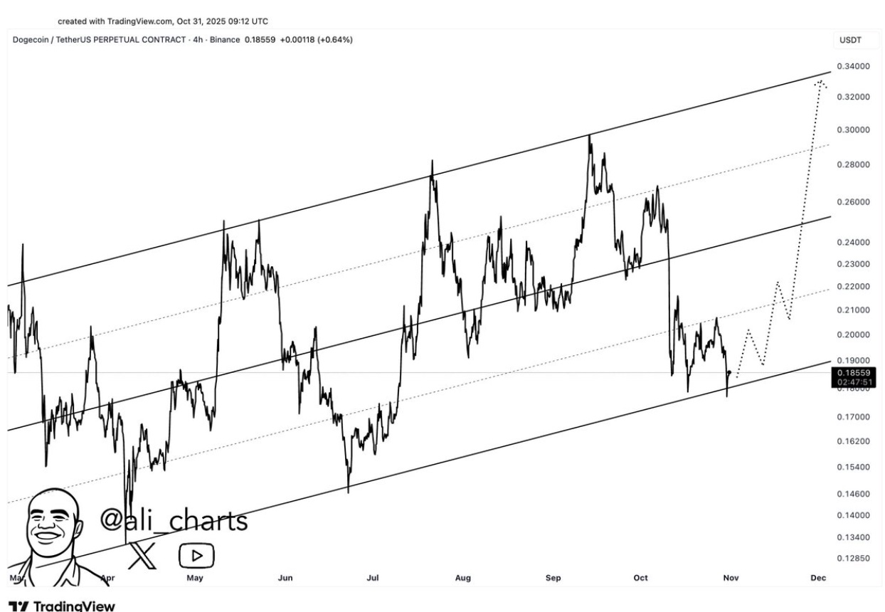 Giá Dogecoin đang ở tình thế sống còn, liệu phe bò DOGE có quay trở lại tấn công? image 0