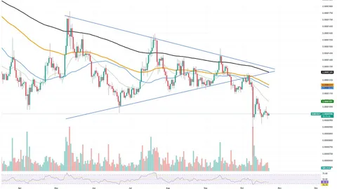 Kripto bozorining bashorati: Shiba Inu (SHIB) va Dogecoin (DOGE) narxlari muhim uchburchak shakllantirmoqda, Bitcoin (BTC) uchun $120,000 ga yetish uchun oxirgi imkoniyat