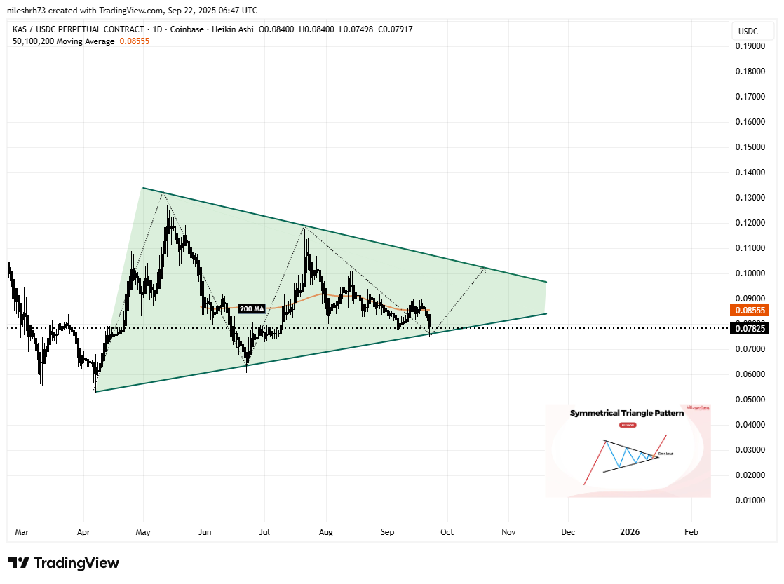 Kaspa (KAS) Testing Key Support – Could This Pattern Trigger a Bounce Back? image 1