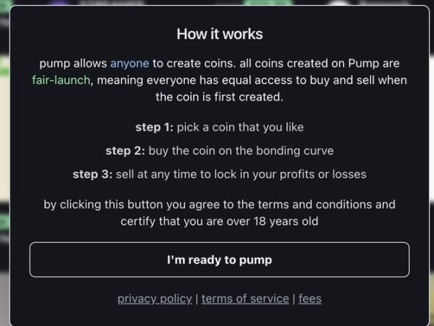 何百万人もの人がストリーマーになるためにPumpFunに集まっているのですか? image 3