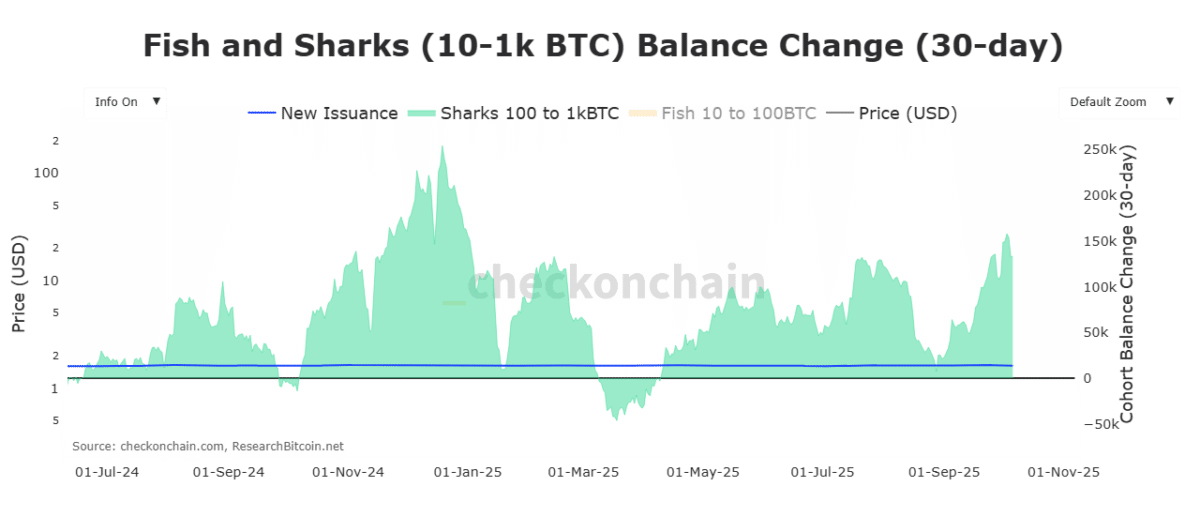 BTC: Las entradas de ETFs al contado y la demanda de ballenas impulsan los nuevos máximos de Bitcoin, pero prevalece la cautela image 4