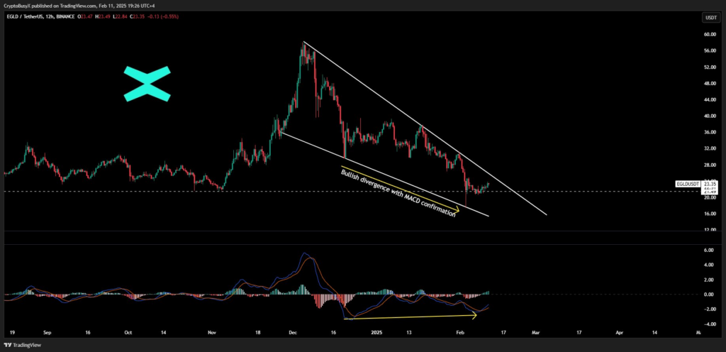 Bullish Divergence and Falling Wedge Signal Potential Reversal for EGLD image 0