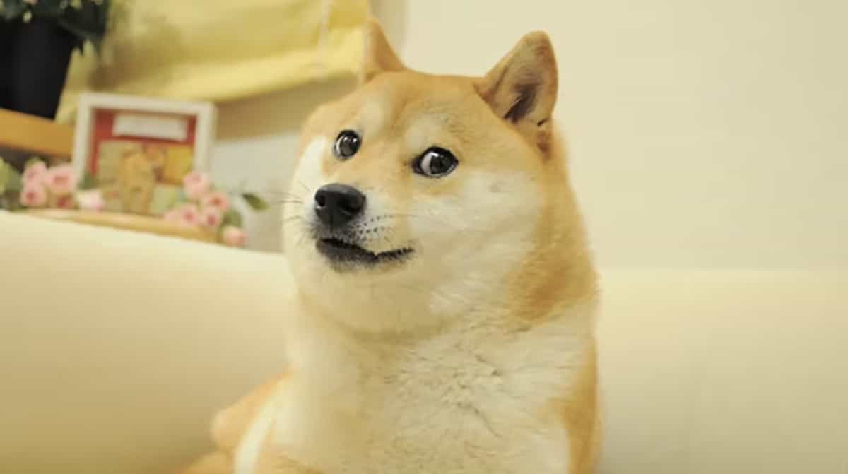 CleanCore Solutions and House of Doge launch 'official' Dogecoin treasury with $175 million offering