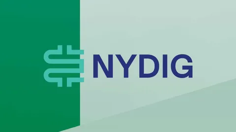 "Tidak ada alasan" untuk menghindari bitcoin, kata kepala penelitian NYDIG