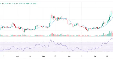230,000,000 Dogecoin Scooped by Whales in 24 Hours, Price Reacts