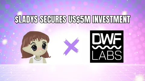 Milady Meme Coin Secures US$5 Million Investment from DWF Labs